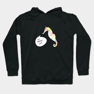 Funny Rainbow Seahorse Hoodie